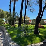 Quinta Dos Amarelos Sesimbra