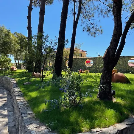 Quinta Dos Amarelos No Meco