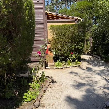 Quinta Dos Amarelos 4* ססימברה
