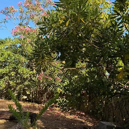 Quinta Dos Amarelos 4* Сесимбра
