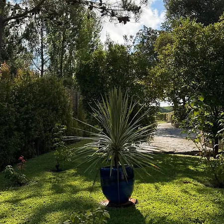 Quinta Dos Amarelos