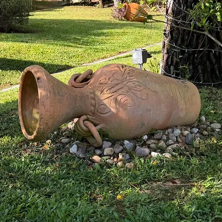 Quinta Dos Amarelos 4*