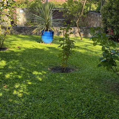 Quinta Dos Amarelos