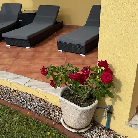 Quinta Dos Amarelos Sesimbra