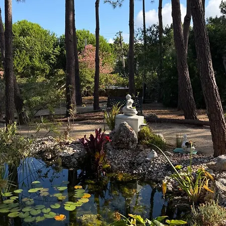 Quinta Dos Amarelos Гостевой дом 4*