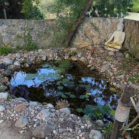 Quinta Dos Amarelos Гостевой дом Сесимбра
