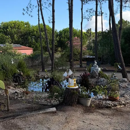 Quinta Dos Amarelos Гостевой дом