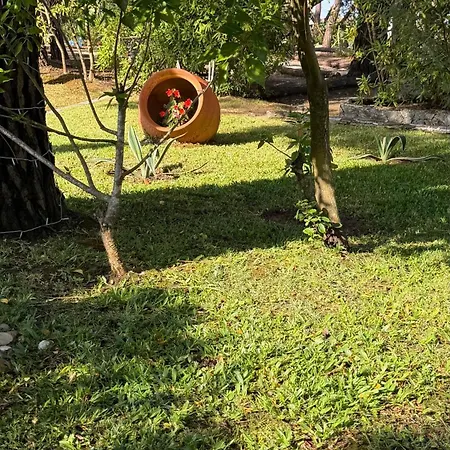 Quinta Dos Amarelos 4*
