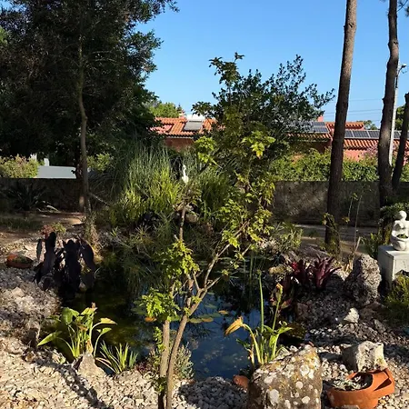 Quinta Dos Amarelos Сесимбра