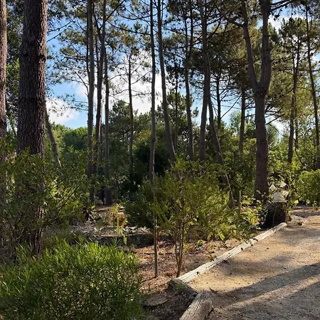 Quinta Dos Amarelos