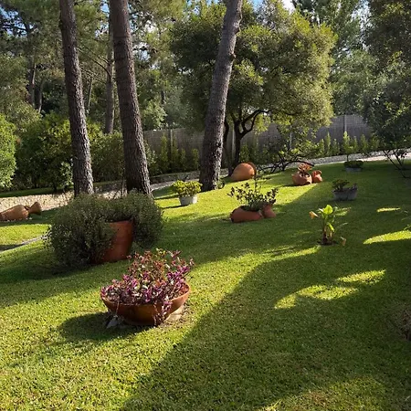 Quinta Dos Amarelos 4* Sesimbra