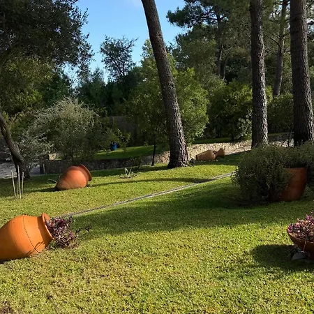 Quinta Dos Amarelos Affittacamere