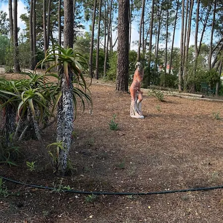 Гостевой дом Quinta Dos Amarelos 4*